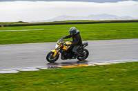 Lower Group Yellow Bikes